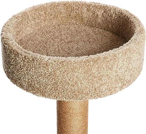 New Amazon Basics Indoor Cat & Kitten Multi-Level Activity Tower | Beige, 31.5" (Medium)