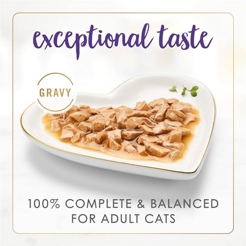 New Fancy Feast Gravy Lovers Chicken and Beef Feast Grilled Wet Cat Food | 24 cans (3 oz each), Chicken and Beef in Gravy