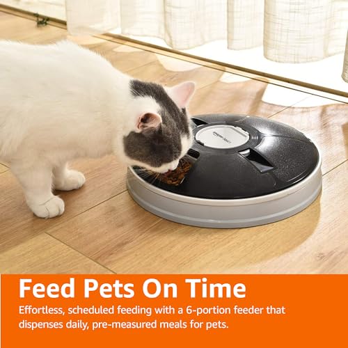 New Amazon Basics Automatic Pet Feeder (Electronic, Timed) | Black, 6 Portions (12"×12"×2.3")