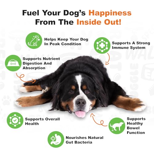 New Doggie Dailies Probiotics Soft Chews | Pumpkin, 225 Count