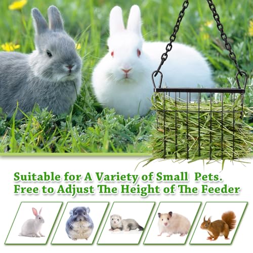 New SANGLE SOPFFY Rabbit hay Feeder Small Animal Feeding Set