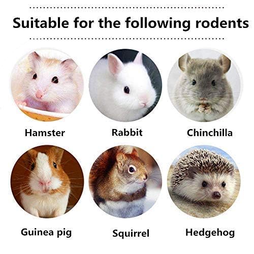 New Dbeans Flourithing 600g Guinea Pig and Rabbit Chew Toys Sweet Bamboo and Timothy Apple Sticks | Natural, 600g