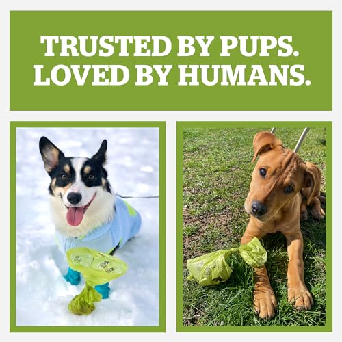 New Pogi’s Large Poop Bags | Fresh Scent, Single Roll (500 Count)