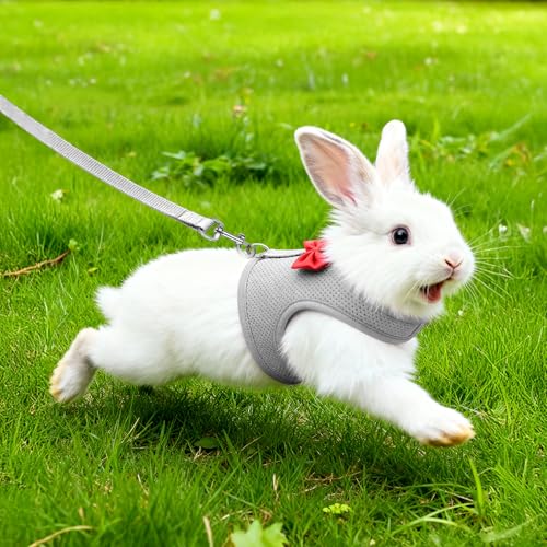 New Breathable Soft Mesh Vest Harness & Leash Set for Small Pets | Gray, Medium