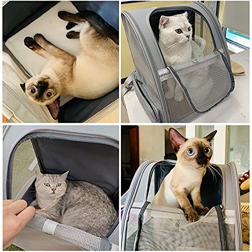 New Texsens Pet Backpack Carrier | Light Gray