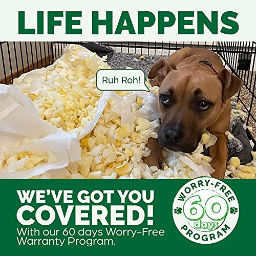 New Furhaven Orthopedic Dog Bed | Charcoal, Large