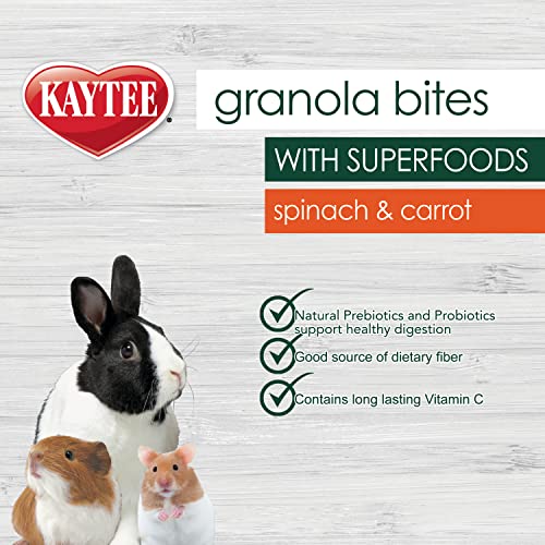 New Kaytee Granola Bites with Superfoods for Small Animals | 4.5oz, Pack of 2