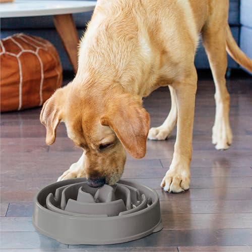 New Outward Hound Large Slow Feeder Bowl | Blue, Large (4 Cups)