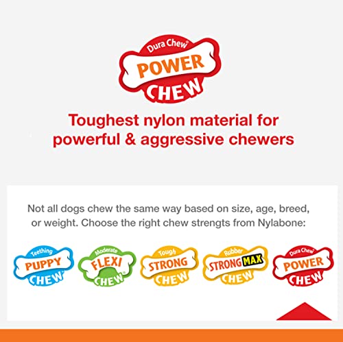 New Nylabone Original Wishbone Power Chew | Natural, Medium