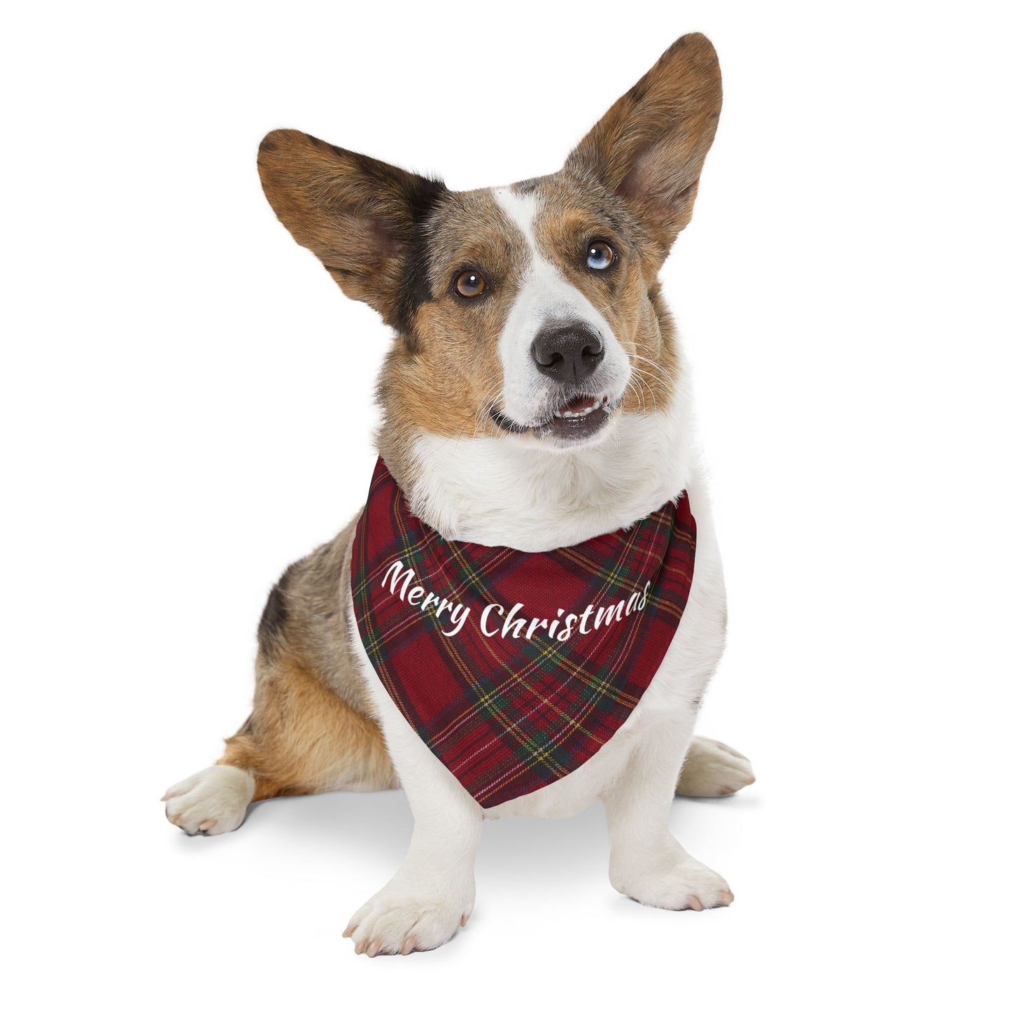 Merry Christmas Plaid Pet Bandana Collar | S, M, L, XL