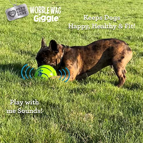 New Wobble Wag Giggle Ball | Multi-Color, One Size