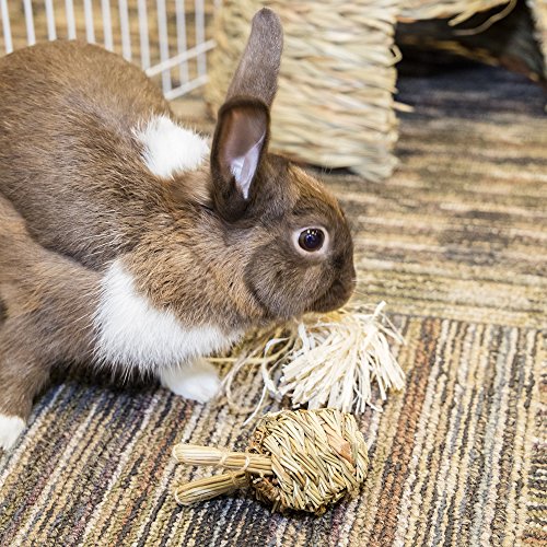 New Ware Manufacturing Natural Fun-E-Bunny Small Pet Chew Toy | Natural