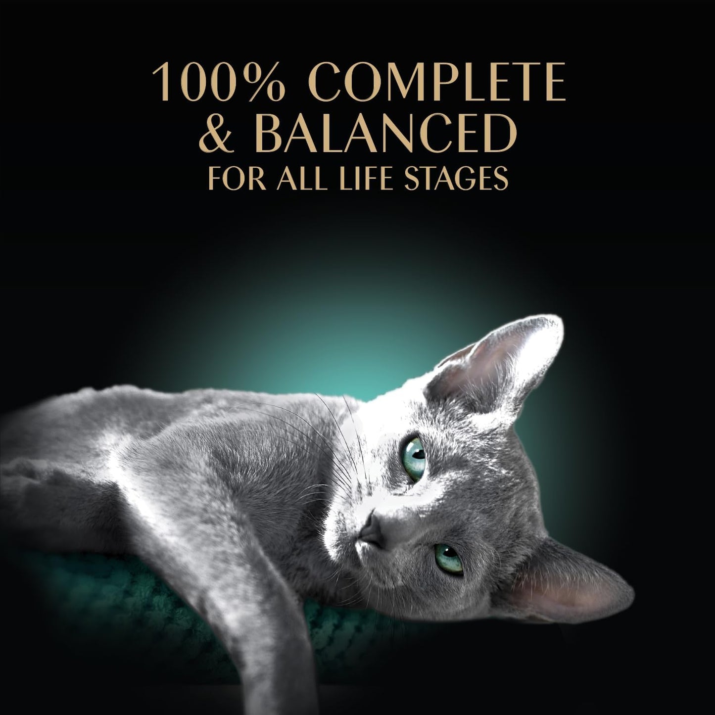 New Sheba Perfect Portions Wet Cat Food Cuts in Gravy | Chicken, Salmon & Tuna | 2.6 oz. Twin-Pack Trays (18 Count, 36 Servings)