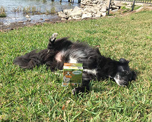 New BioBag Compostable Pet Waste Bags | Standard, 50 Count (Pack of 4)