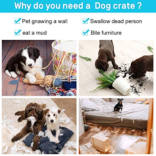 New TFFNEW Large Dog Crate Kennel Metal Wire Double-Door Folding Cage | 48 Inch - Large/Medium