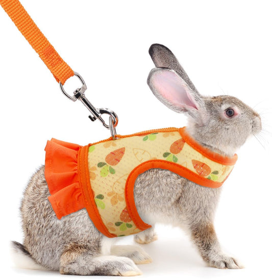 New Hotlion Guinea Pig Harness and Leash Set | Orange - L