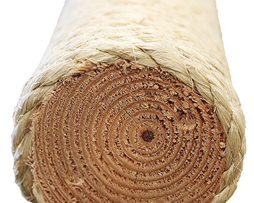 New New Cat Condos Cat Scratching Post with Sleeping Perch