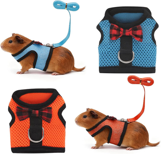 New Guinea Pig Harness and Leash | 2packs - Blue + Orange