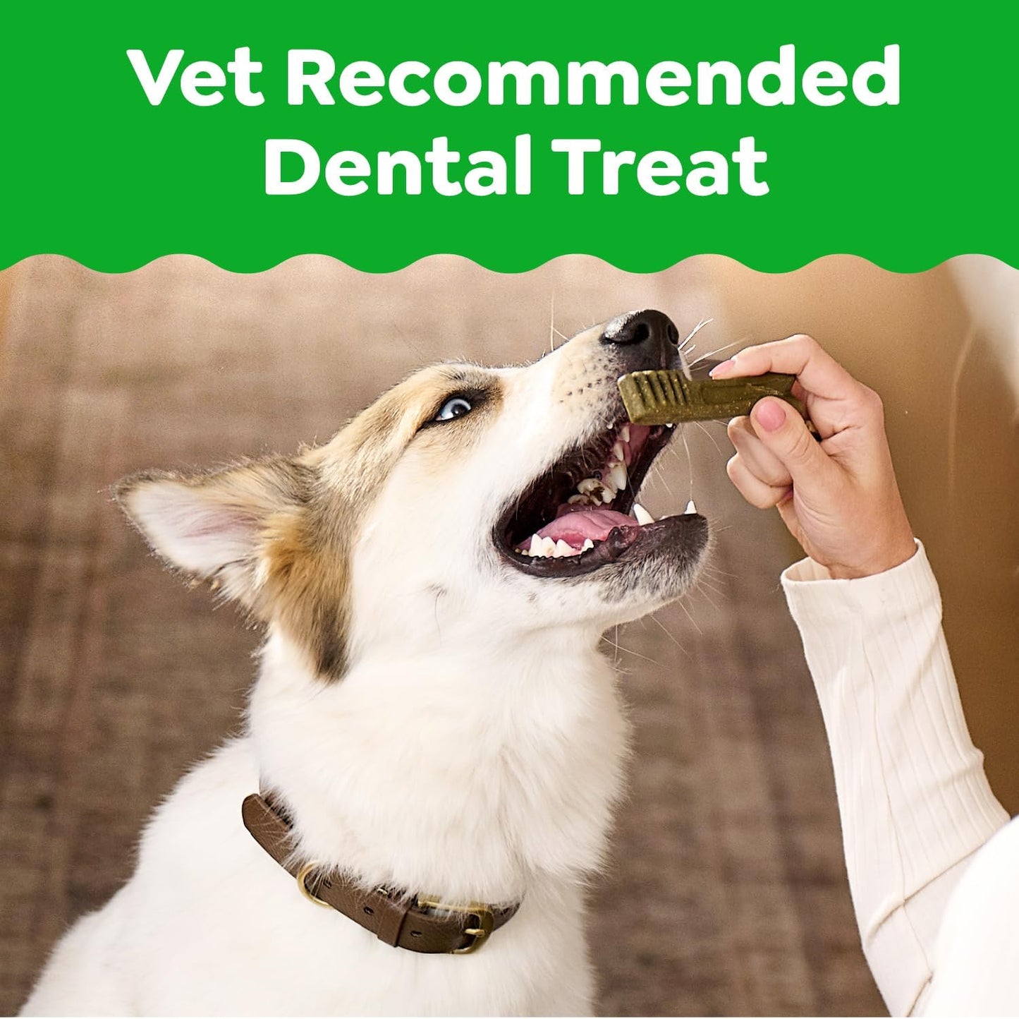 New Greenies Original Large Dental Dog Treats | 36 oz (24 treats)