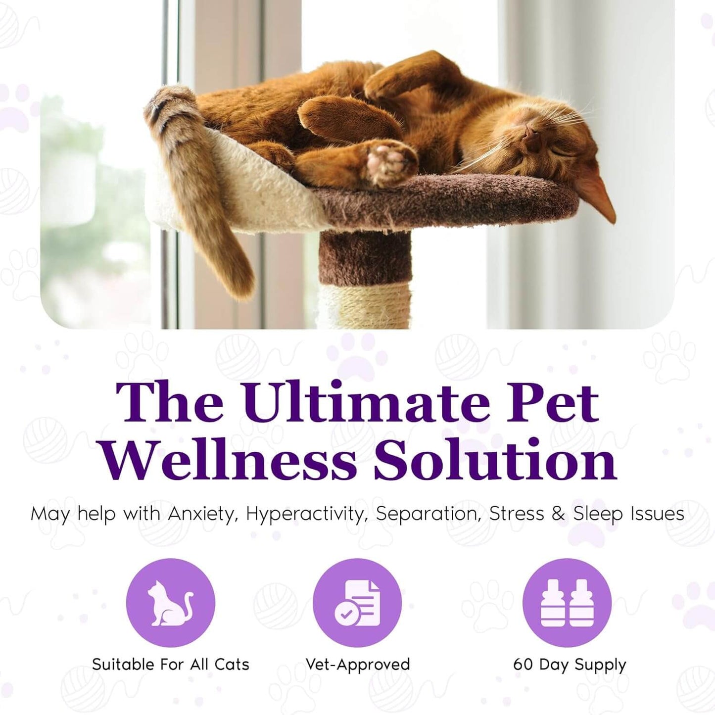 Purrfect Cat Calming Diffuser Kit with 2 Refills