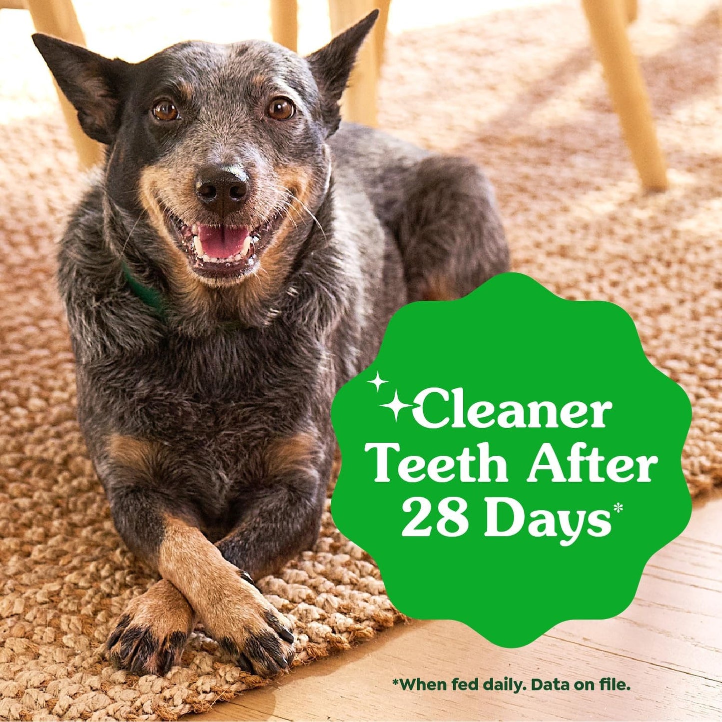 New Greenies Original Large Dental Dog Treats | 36 oz (24 treats)