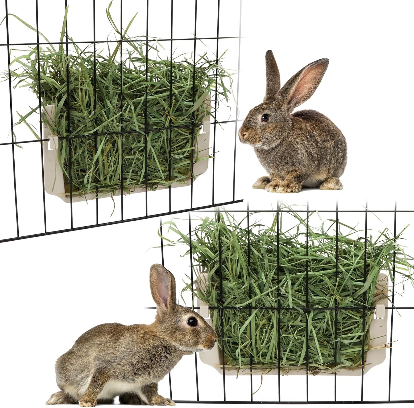New Hypeety Rabbit Hay Feeder