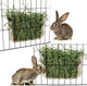 New Hypeety Rabbit Hay Feeder