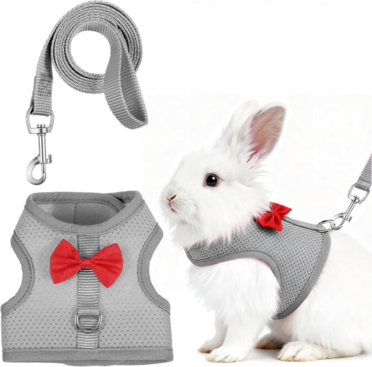 New Breathable Soft Mesh Vest Harness & Leash Set for Small Pets | Gray, Medium