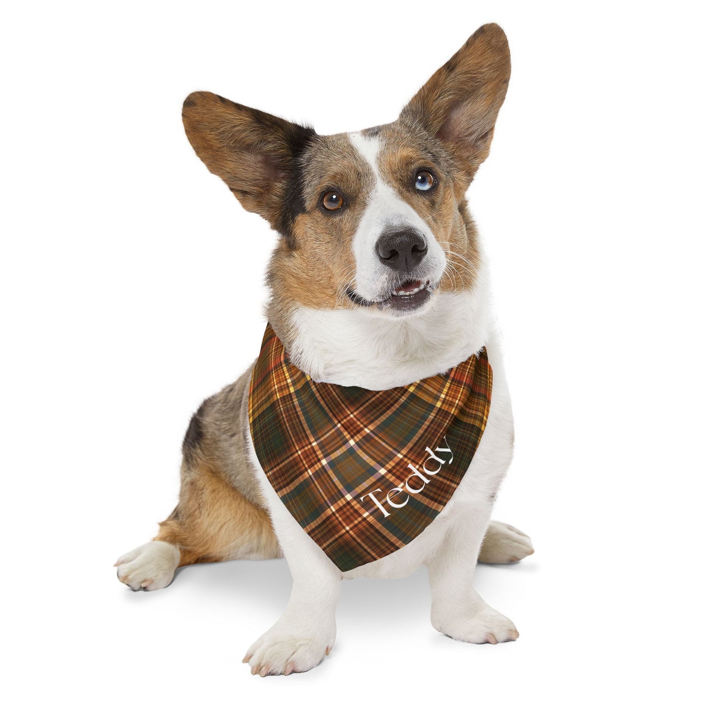Personalized Plaid Pet Bandana Collar — Custom Name (Autumn Tartan)