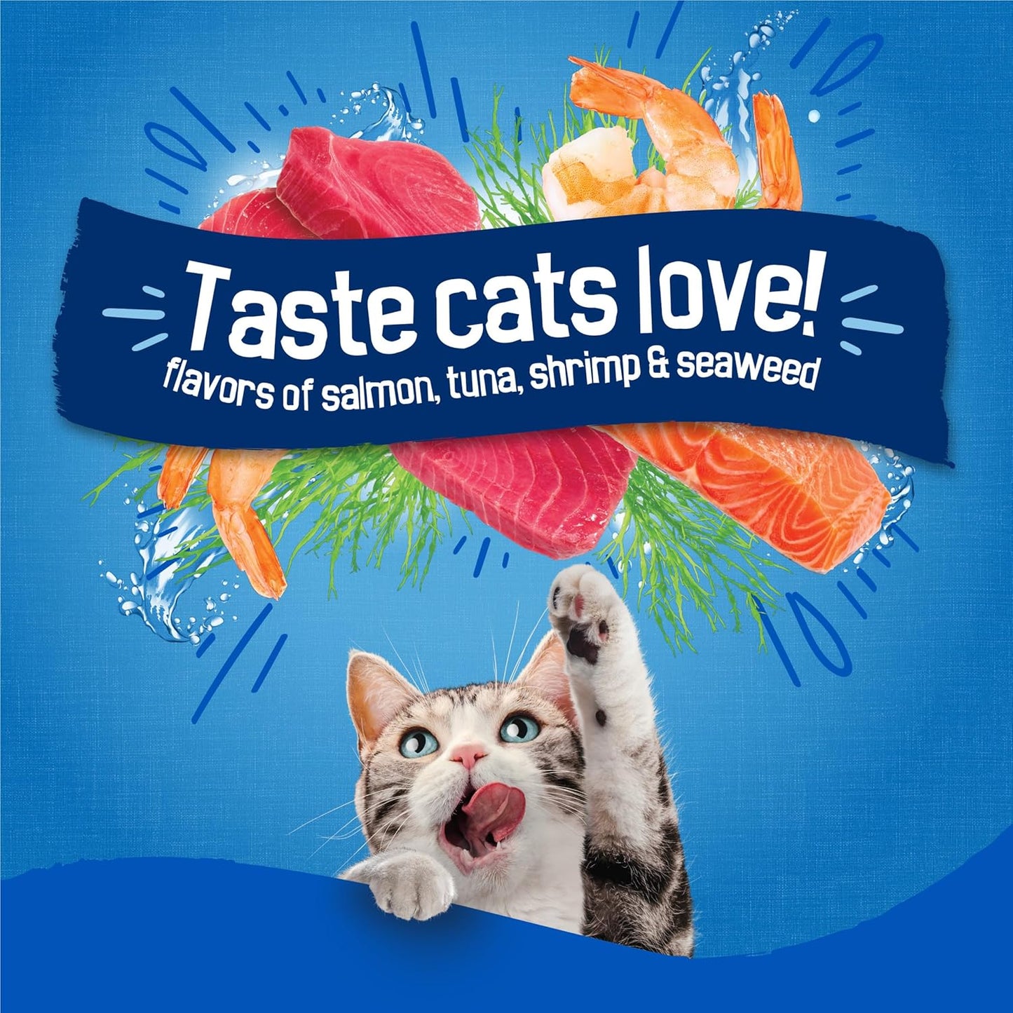 New Purina Friskies Dry Cat Food Seafood Sensations With Salmon, Tuna, and Shrimp Flavors - 22 lb. Bag