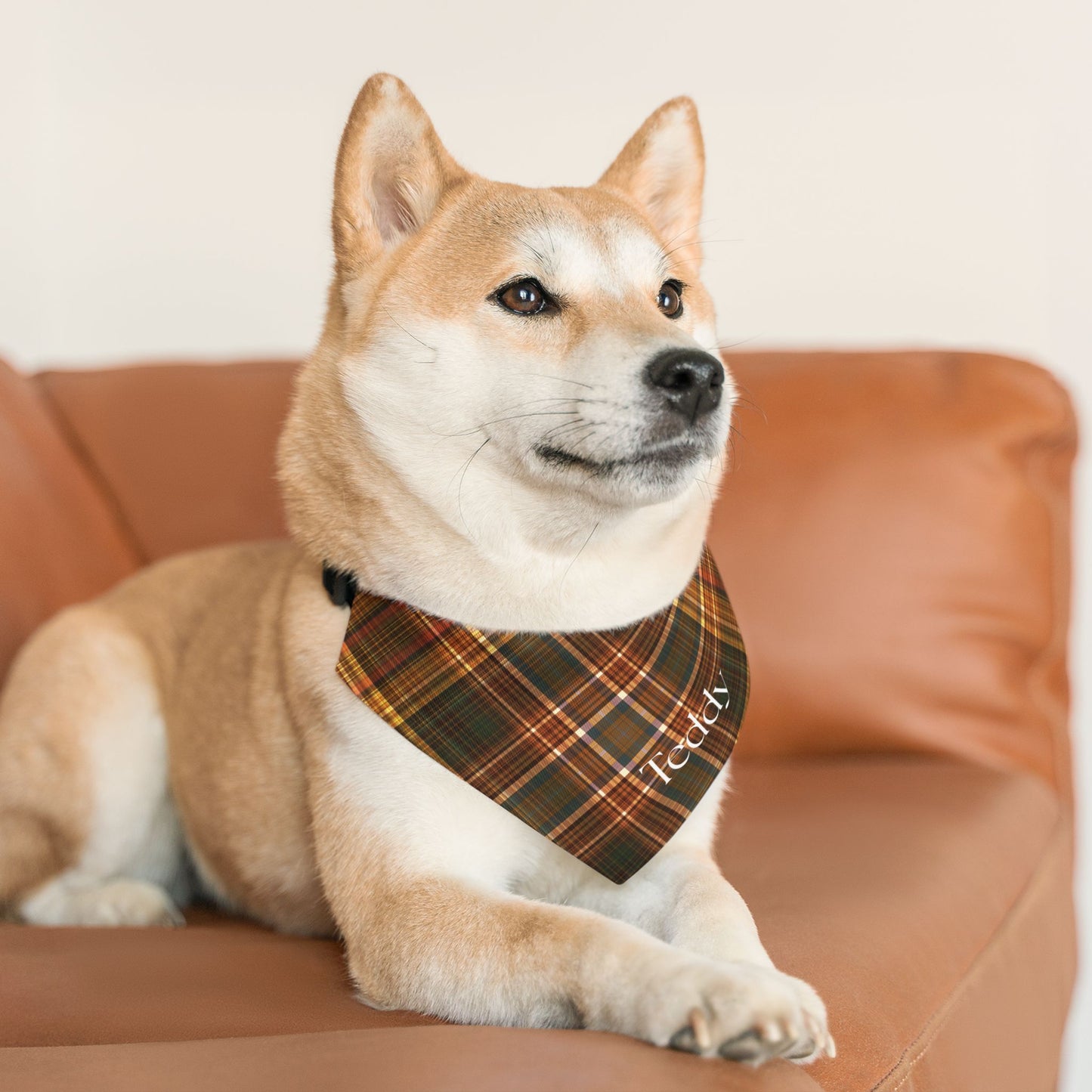 Personalized Plaid Pet Bandana Collar — Custom Name (Autumn Tartan)