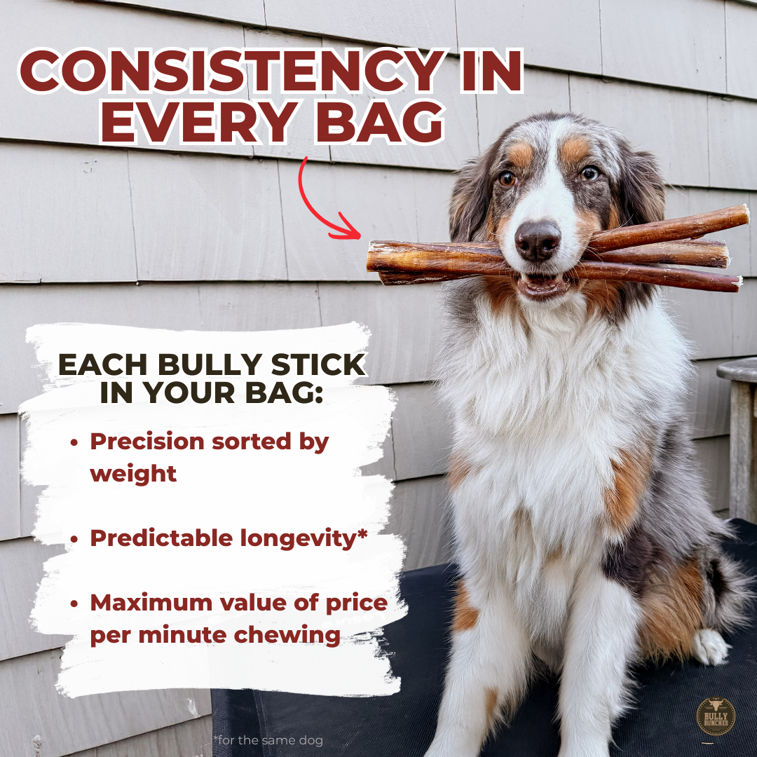 Small Bully Stick Ring