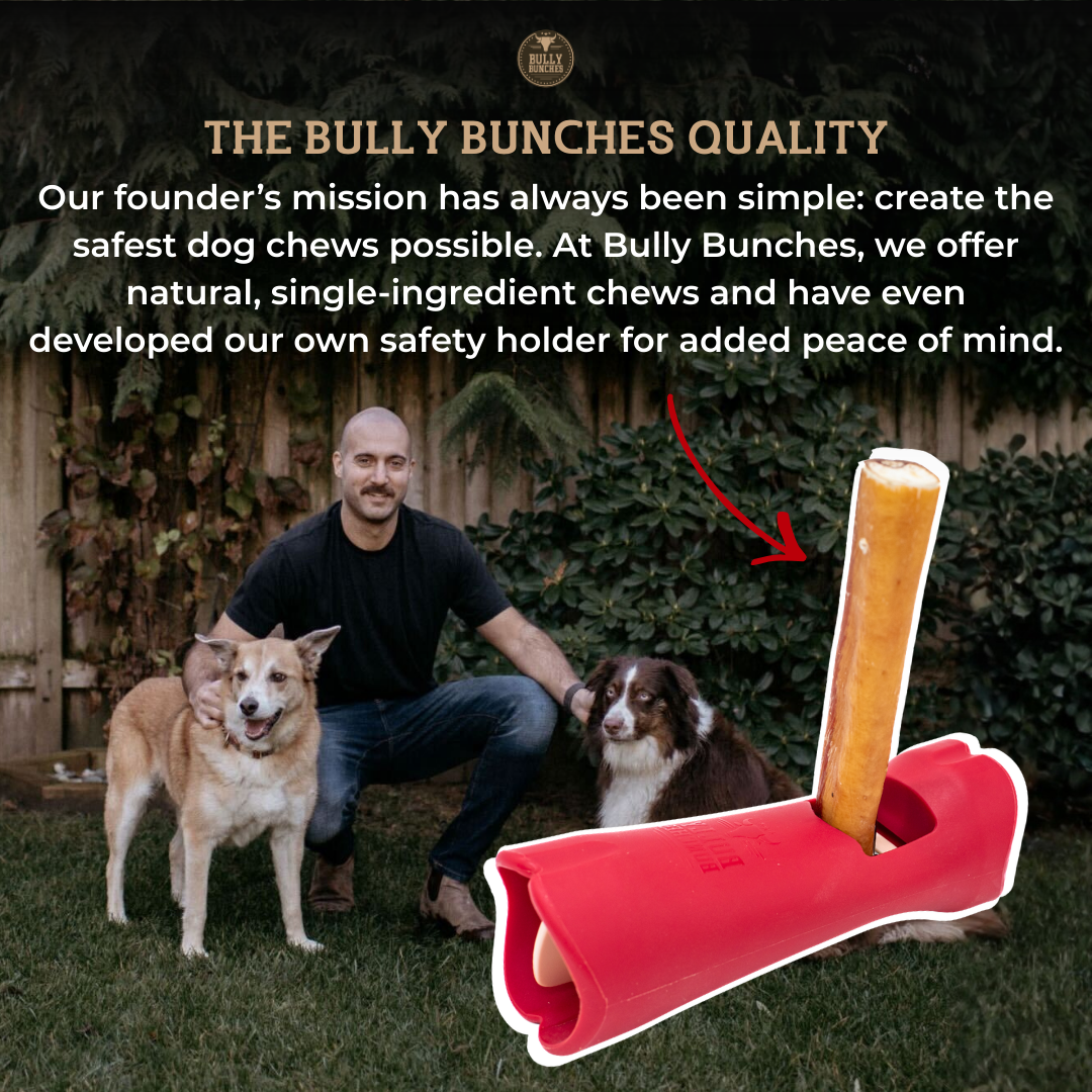 6 Inch Standard Bully Stick