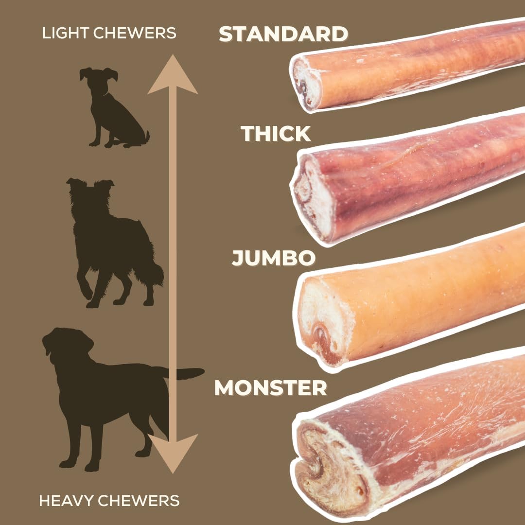 12 Inch Monster Bully Stick