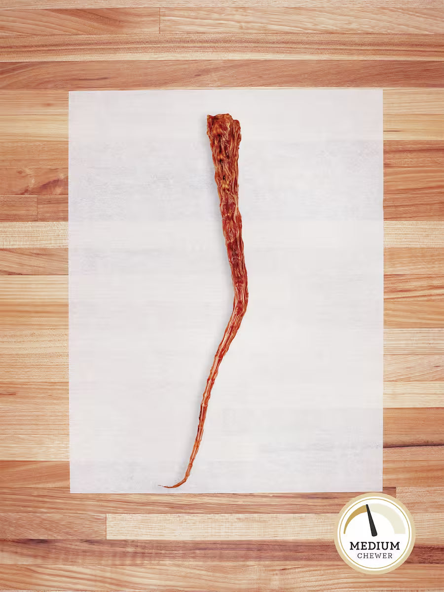 Beef Tail