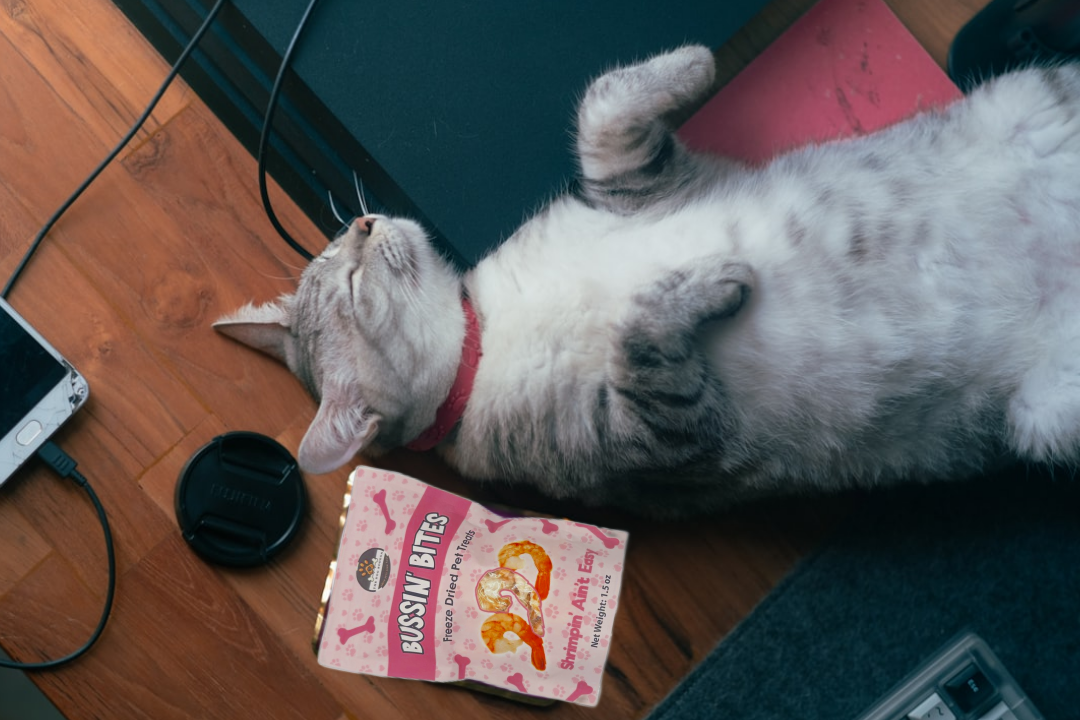 Single Ingredient, High Value Freeze-Dried Training Treats for Dogs & Cats - Shrimp