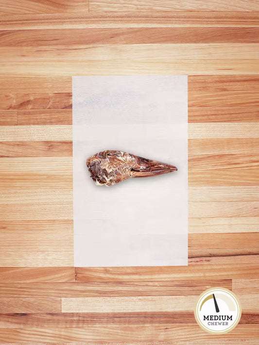 Duck Head