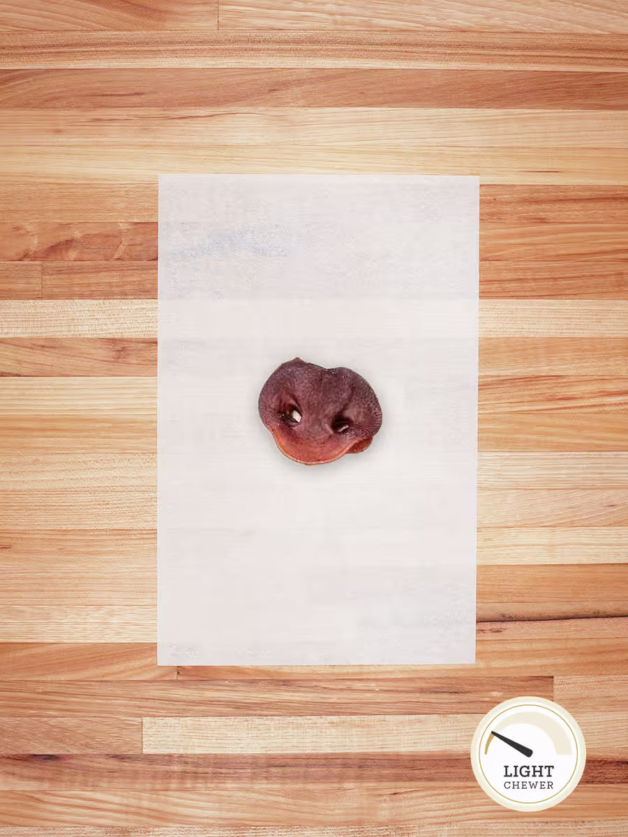 Hog Snout