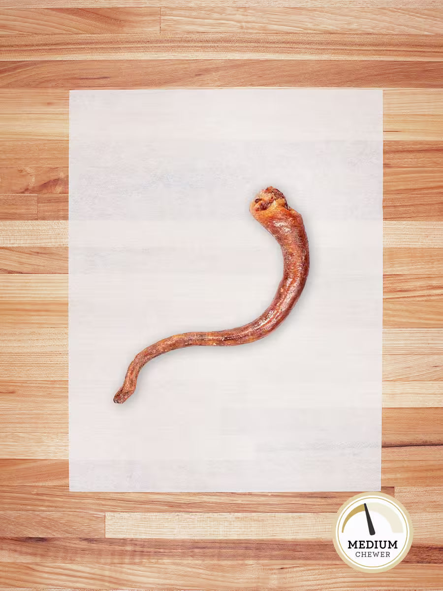Hog Tail