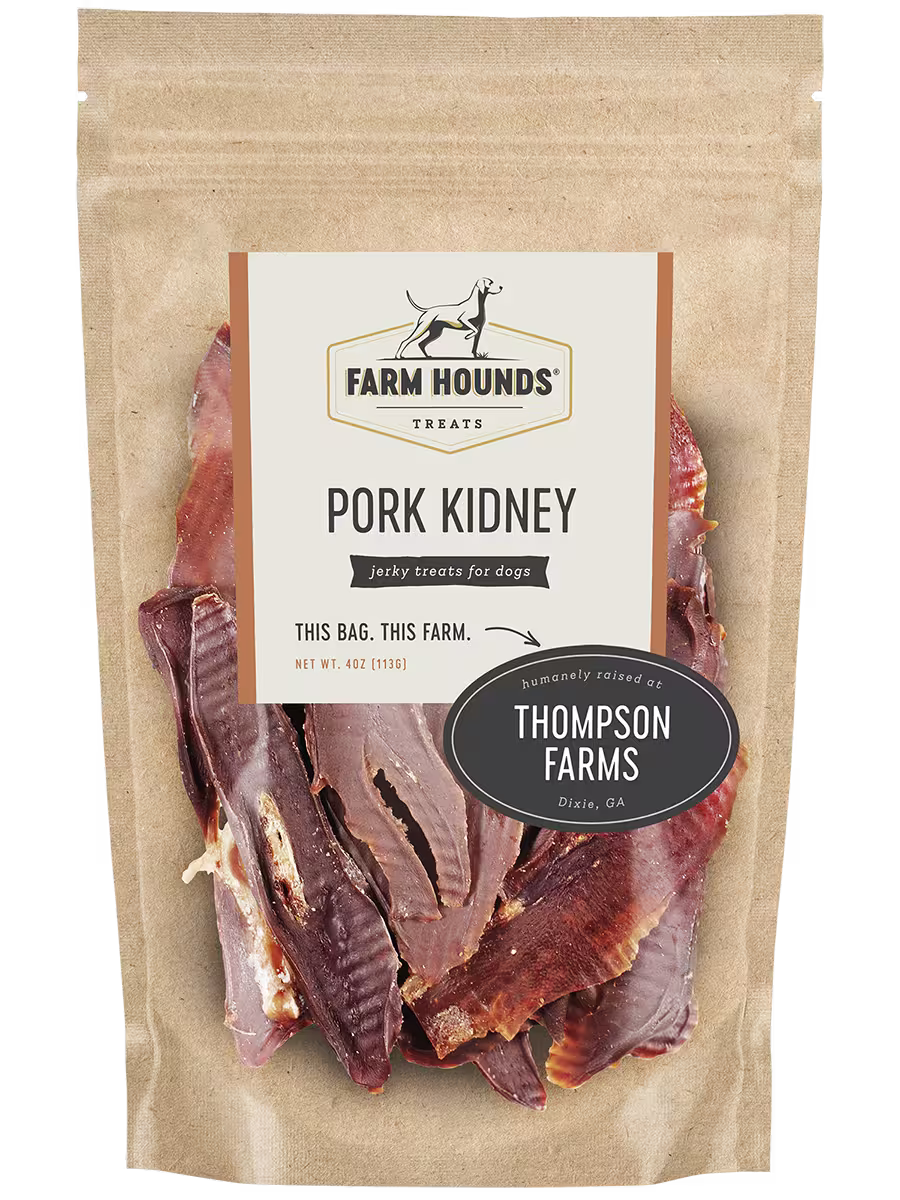 Pork Kidney