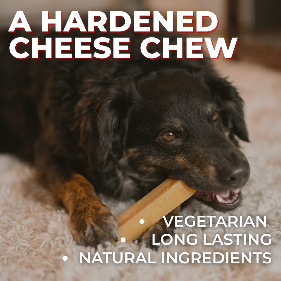 Himalayan Yak Chew (EXTRA LARGE)