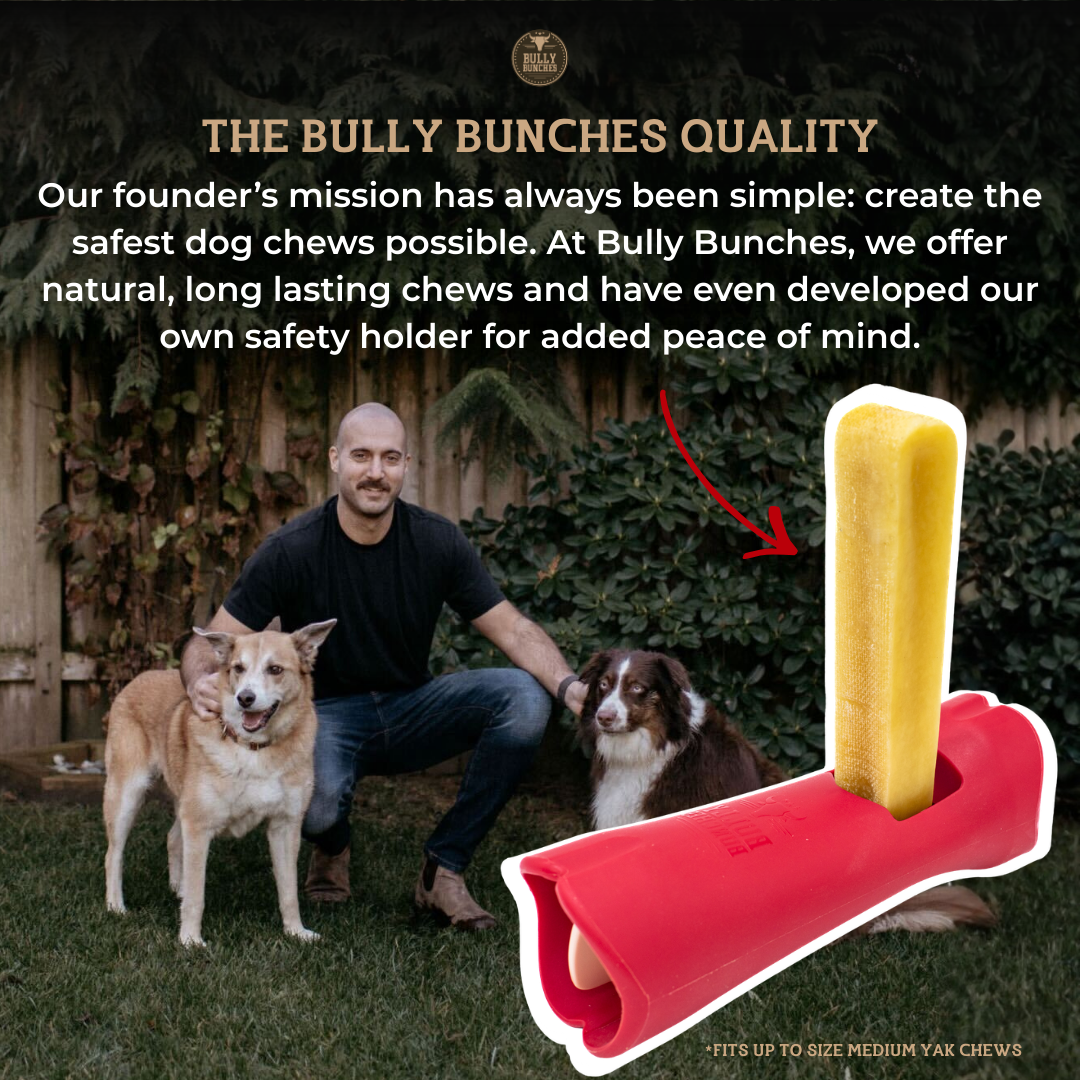 Himalayan Yak Chew (MEDIUM)